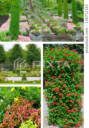 Stunning collage of vibrant flower gardens and vertical flower beds 136712165