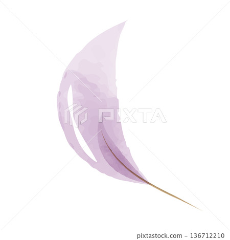 A single delicate watercolor feather in soft lavender and light purple shades curves gently on a plain white background. 136712210