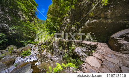 Levada do Caldeirao Verde, Madeira, Portugal Levada do Caldeirao Verde, Madeira, Portugal 136712216