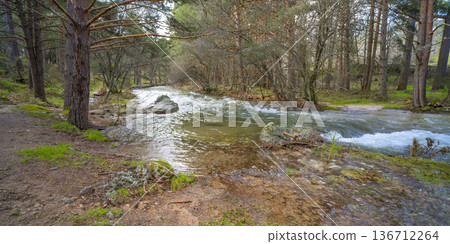 Sierra de Guadarrama National Park, Spain 136712264