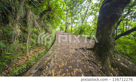 Vereda dos Balcoes PR11 Mountain Footpath, Madeira, Portugal Vereda dos Balcoes PR11 Mountain Footpath, Madeira, Portugal 136712276
