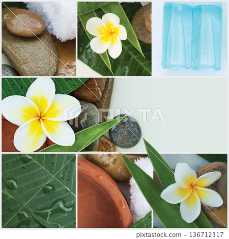 Wellness spa collage. Close up of natural leaf, flower and cosmetic bottle 136712317
