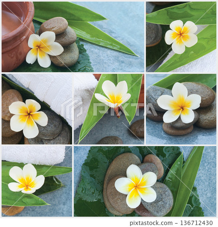 Health, harmony and spa set. Green leaves, blue water and white flowers collage Health, harmony and spa set. Green leaves, blue water and white flowers collage 136712430