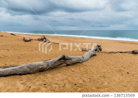 Waves crashing on the sandy beach in Labenne, Landes, France, on a cloudy day. 136713509