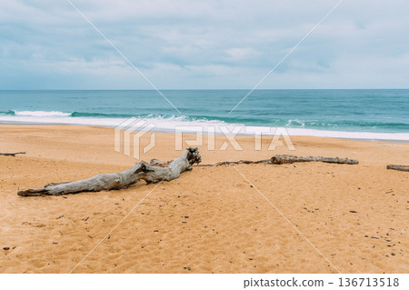 Waves crashing on the sandy beach in Labenne, Landes, France, on a cloudy day. Waves crashing on the sandy beach in Labenne, Landes, France, on a cloudy day. 136713518
