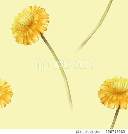 Watercolor seamless pattern with yellow dandelion flowers on a long stem on a light yellow background. A botanical floral template for wallpaper, packaging, textiles, and summer themes. Watercolor seamless pattern with yellow dandelion flowers on a long stem on a light yellow background. A botanical floral template for wallpaper, packaging, textiles, and summer themes. 136713683