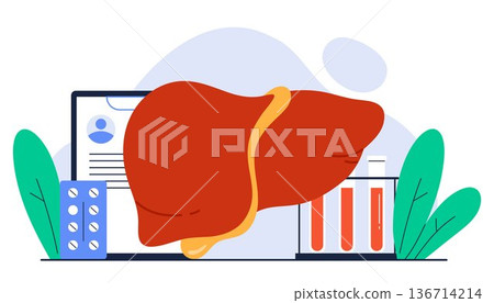 Hepatology concept. Hepatitis A, B, C, D concept. Human liver organ. Liver disease, healthcare, treatment. Isolated vector illustration in cartoon style Hepatology concept. Hepatitis A, B, C, D concept. Human liver organ. Liver disease, healthcare, treatment. Isolated vector illustration in cartoon style 136714214