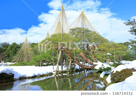 【石川縣】銀白兼六園(雪掛唐松) 【石川縣】銀白兼六園(雪掛唐松) 136714332