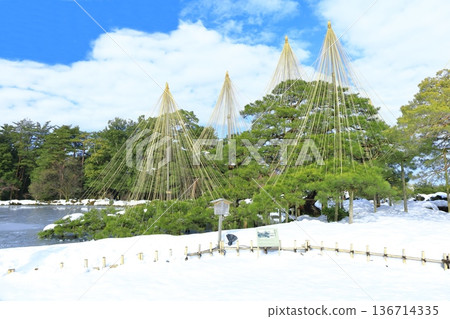 【石川縣】銀白兼六園(雪掛唐松) 【石川縣】銀白兼六園(雪掛唐松) 136714335