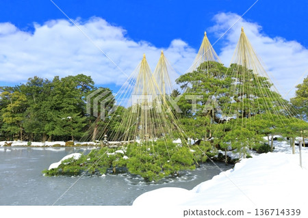 【石川縣】銀白兼六園(雪掛唐松) 【石川縣】銀白兼六園(雪掛唐松) 136714339