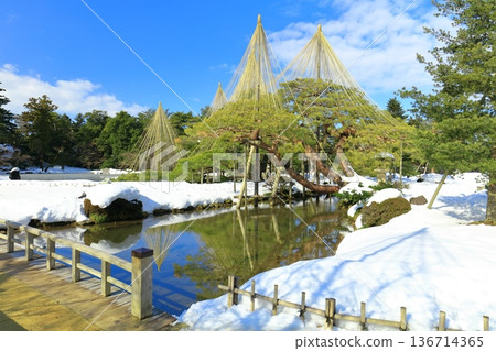 【石川縣】銀白兼六園(雪掛唐松) 【石川縣】銀白兼六園(雪掛唐松) 136714365