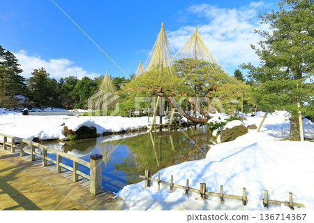 【石川縣】銀白兼六園（雪掛唐松） 136714367