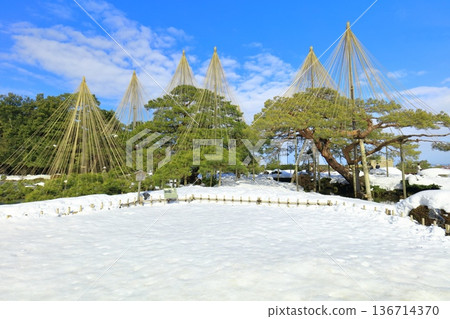 [Ishikawa Prefecture] The Silver-White Kenrokuen Garden (Snow-hanging Karasaki Pine) 136714370