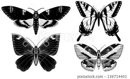 Set of 4 butterflies. Hand drawn illustration of a famous and popular flying insect. Wood cut Set of 4 butterflies. Hand drawn illustration of a famous and popular flying insect. Wood cut 136714401