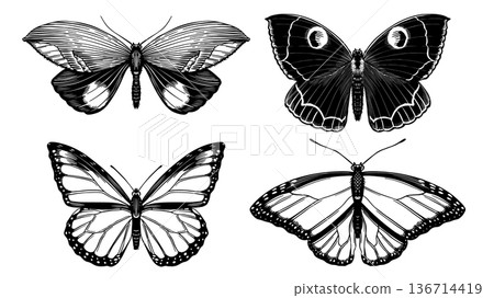 Set of 4 butterflies. Hand drawn illustration of a famous and popular flying insect. Wood cut Set of 4 butterflies. Hand drawn illustration of a famous and popular flying insect. Wood cut 136714419