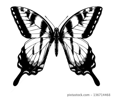 Beautiful tiger swallowtail butterfly species. Black and white wood cut looking style. engraving of 136714468