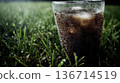 Cold Iced Cola In Dewy Grass With Condensation Drops On Glass For Refreshing Summer Drink 136714519