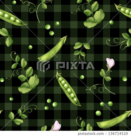 Hand drawn illustration of seamless pattern with green pea pods, seeds and delicate pink blossoms on dark green gingham check background. Botanical vegetable and floral texture for textile, wrapping Hand drawn illustration of seamless pattern with green pea pods, seeds and delicate pink blossoms on dark green gingham check background. Botanical vegetable and floral texture for textile, wrapping 136714520