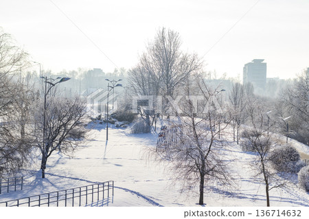 A quiet city park covered in snow during a cold winter day A quiet city park covered in snow during a cold winter day 136714632