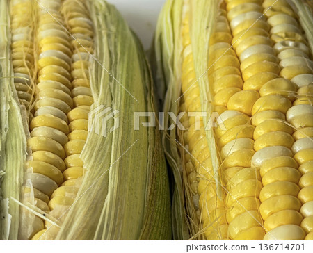 Sweet Corn Kernel Macro Texture with Silk 136714701