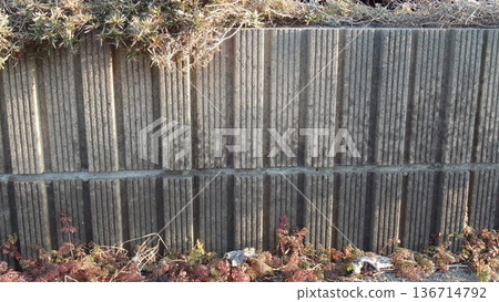 Exterior structure and grass above the gutter Exterior structure and grass above the gutter 136714792