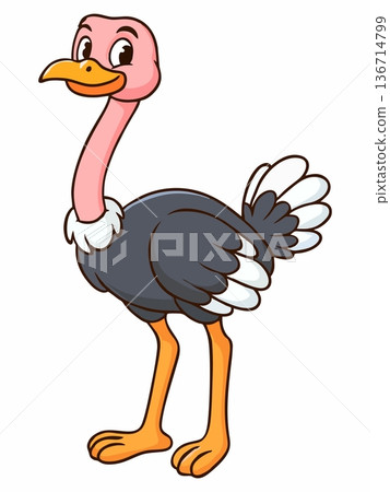 Ostrich cartoon vector illustration 136714799