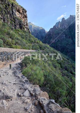 Mountain Canyon Trail Through Rugged Green Cliffs Mountain Canyon Trail Through Rugged Green Cliffs 136714887