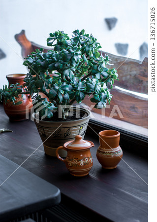 Jade plant succulent with traditional ceramic pottery display Jade plant succulent with traditional ceramic pottery display 136715026