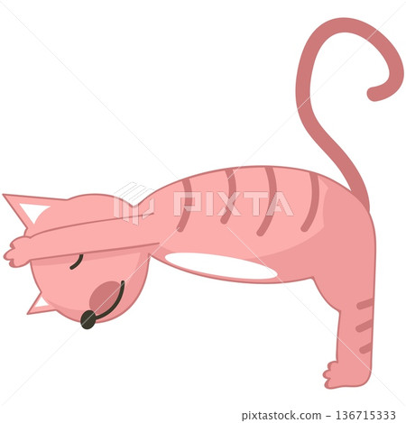Cat yoga fitness vector icon cartoon illustration Cat yoga fitness vector icon cartoon illustration 136715333