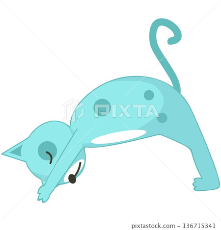 Yoga cat in bridge asana vector cute animal icon Yoga cat in bridge asana vector cute animal icon 136715341
