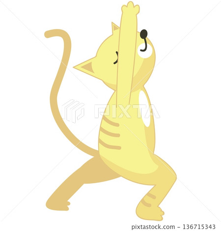 Yoga cat exercising vector cute animal icon Yoga cat exercising vector cute animal icon 136715343