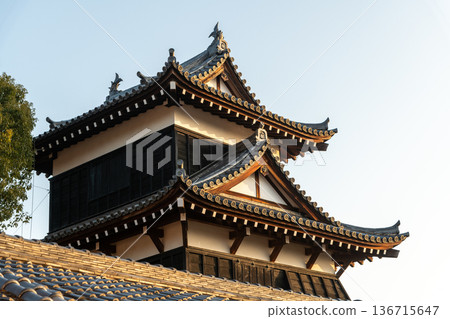 晨光照亮了東角的塔樓 晨光照亮了東角的塔樓 136715647