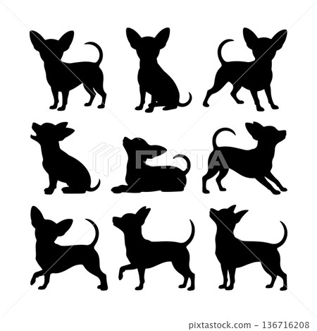 Various positions of playful chihuahuas represented in silhouette style on a simple white background Various positions of playful chihuahuas represented in silhouette style on a simple white background 136716208