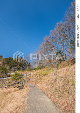 奈良縣國立飛鳥歷史公園岩戶地區的岩戶梯田 奈良縣國立飛鳥歷史公園岩戶地區的岩戶梯田 136716542