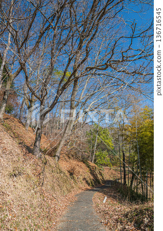 Rice terraces in Iwaido, Iwaido area of National Asuka Historical Park, Nara Prefecture 136716545