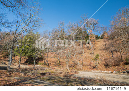 Asuka Historical National Park, Iwaido area, grass field, Asuka Village, Nara Prefecture Asuka Historical National Park, Iwaido area, grass field, Asuka Village, Nara Prefecture 136716549