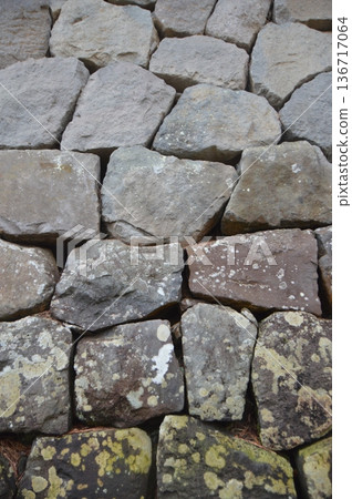 Stone walls near the Tokiwagi Gate of Odawara Castle (Odawara City, Kanagawa Prefecture) 136717064
