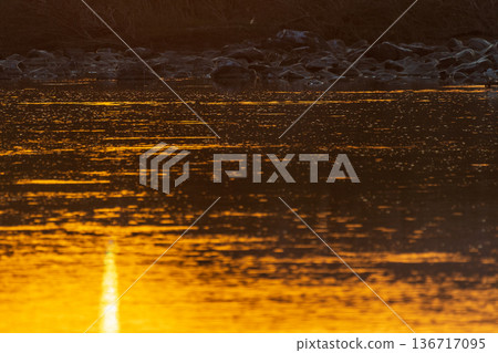 The orange river at sunset The orange river at sunset 136717095