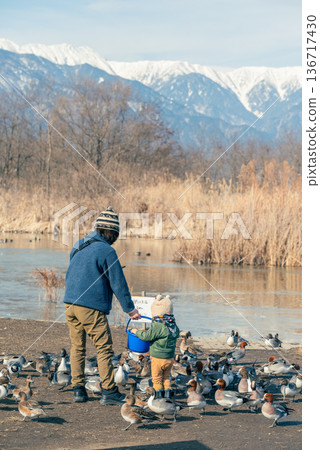 Flock of ducks and their parents [Otakaradata Reservoir] 136717430