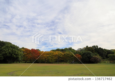 秋天的公園 秋天的公園 136717462