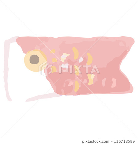 May's Easy Watercolor Illustration Series for Kindergartens and Nurseries | Carp Streamers (Children's Day) May's Easy Watercolor Illustration Series for Kindergartens and Nurseries | Carp Streamers (Children's Day) 136718599