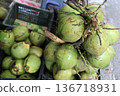 Coconut sales area 136718931