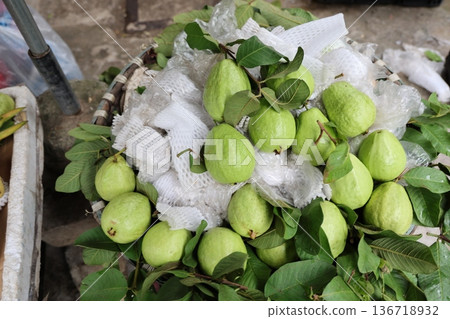 guava guava 136718932