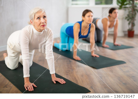 Three sports women practice cow pose Three sports women practice cow pose 136719147
