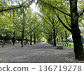 被新鮮綠樹環繞的公園 136719278