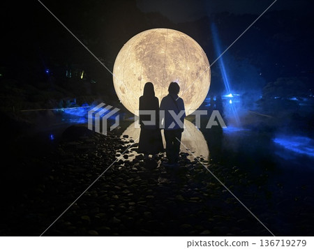 A woman standing under a shining full moon and dead branches on a full moon night 136719279