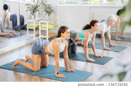 Young woman doing pilates in group in studio Young woman doing pilates in group in studio 136719292