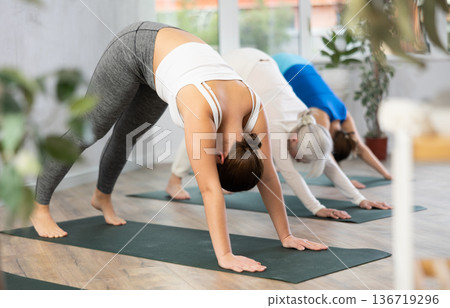 Group of women doing Adho Mukha Shvanasana in yoga studio Group of women doing Adho Mukha Shvanasana in yoga studio 136719296