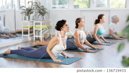 Group of women bending in back while lying on stomach in Bhujangasana Cobra Stretch position during training together in studio Group of women bending in back while lying on stomach in Bhujangasana Cobra Stretch position during training together in studio 136719433