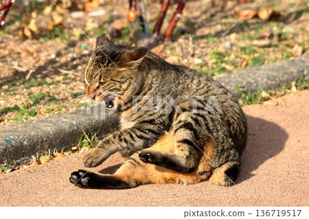 Slacking off 136719517